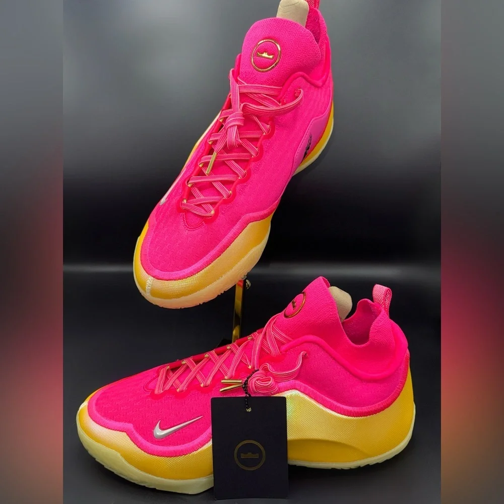 Nike LeBron XXIII Elite Good Intentions Sz 12 IB9557-601